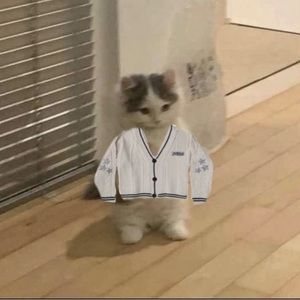 Meet your Posher, Will